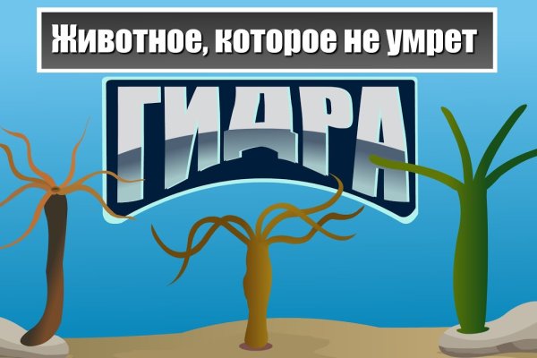 Кракен зеркало 2 веб