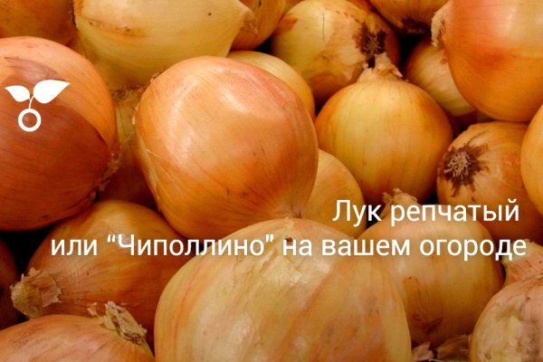 Kraken дарк магазин