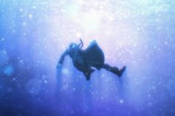 Ссылка на kraken торговая площадка