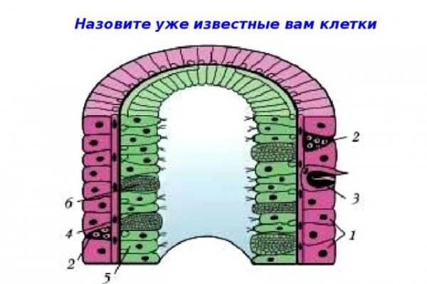 Кракен официальный сайт ссылка