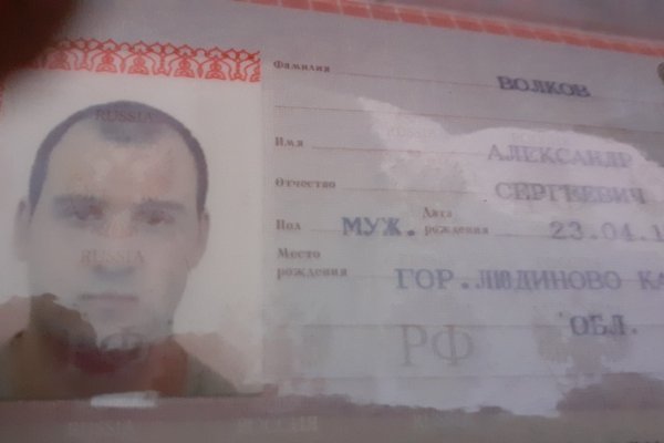 Дарк нет вход