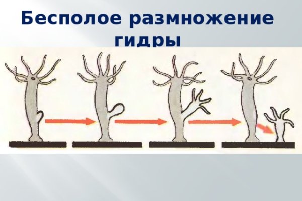 Кракен ссылку где