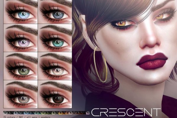 Kraken 12 at
