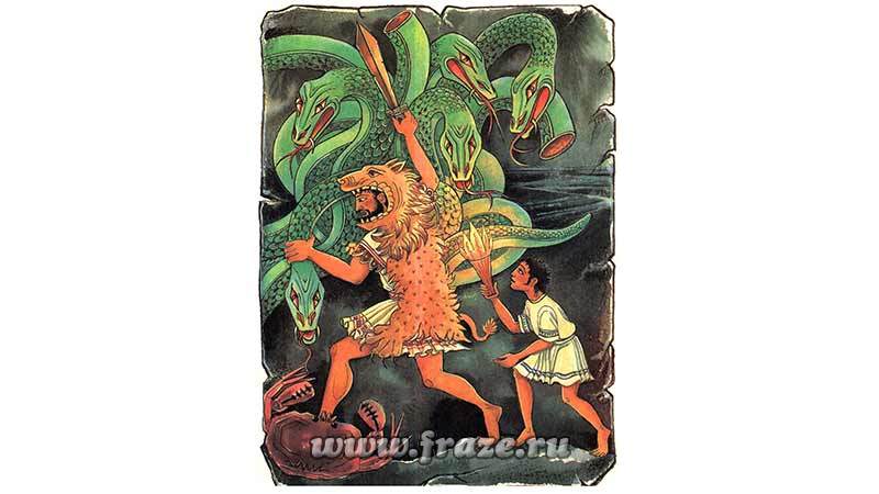Kraken 19 at